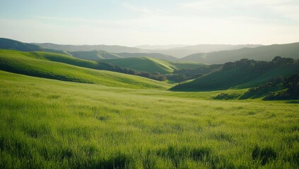 Obraz premium Lush green valley landscape