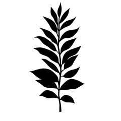 Black Silhouette Leaf Design Element
