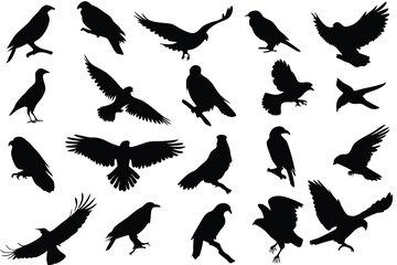 Bird Silhouette Collection