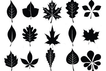 Leaf Silhouette Variety Set