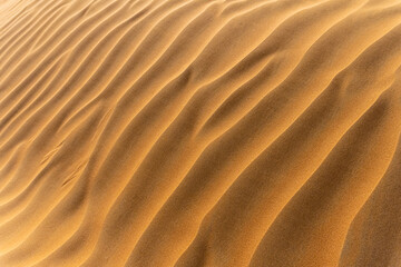 Landscape desert hill with rippled dunes. Red sand summer texture. Selective blur focus.