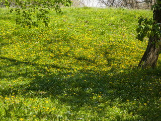 Panorama of South Park in city of Sofia, Bulgaria