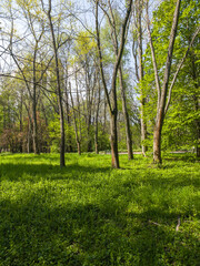 Obraz premium Panorama of South Park in city of Sofia, Bulgaria