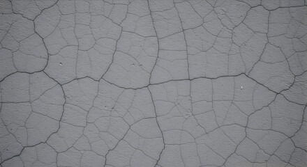 Cracked Concrete Wall Texture Showing a Network of Fine Lines