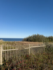 Obraz premium Coastal Dune Fence and Vegetation Under Clear Blue Sky