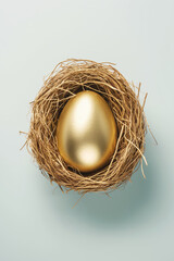 Golden Easter egg in bird nest on soft background. Easter holiday symbol concept.  

