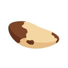 Obraz premium Brazil Nut Vector Icon. Vibrant illustration, transparent background. Superfood, healthy food. Packaging, labels, blogs