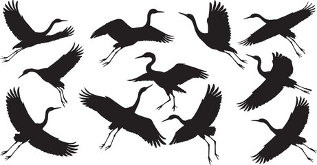 Obraz premium Silhouette of a flock of cranes in various flying poses against a white background in a vector image