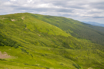 Obraz premium View of green hills and valleys covered in vegetation, under a partly cloudy sky. The scene conveys a sense of tranquility, natural beauty. Carpathian Mountains, Ukraine