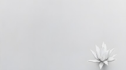 Naklejka premium Elegant Minimalist White Lotus Flower on Grey Background