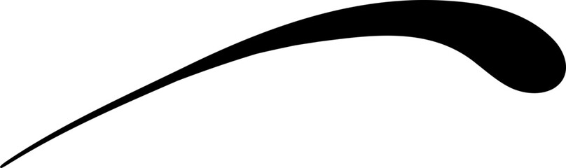 Unique Hand Drawn Swoosh Flourish