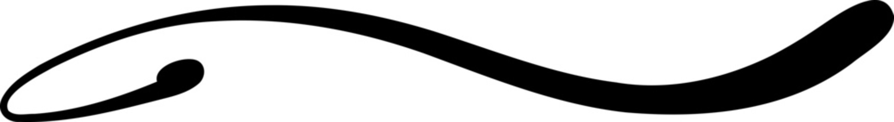 Minimal Hand Drawn Flowing Line