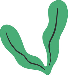 Hand drawn simple green leaf design