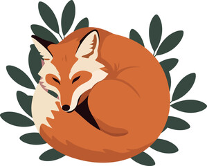 Fototapeta premium Sleeping fox curled up surrounded by green leaves natural wildlife vector illustration 