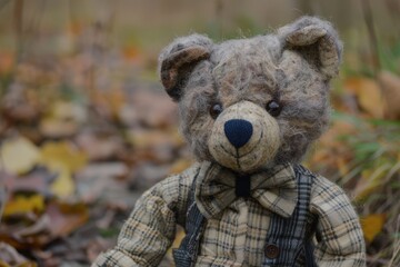 Brown teddy bear wearing a checkered shirt and bow tie sits among fallen autumn leaves in a forest during the chilly afternoon
