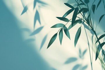 Obraz premium Sunlight filtering through leaves, soft shadows on a teal background