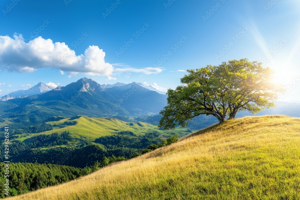 Poster tree is standing in a field with mountains in the background