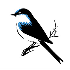 Blue Bire vector 