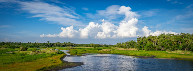Big white clouds above the Myakka River in Myakka River State Park in Sarasota Florida USA