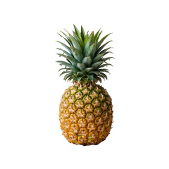 Realistic Pineapples Isolated on White Background