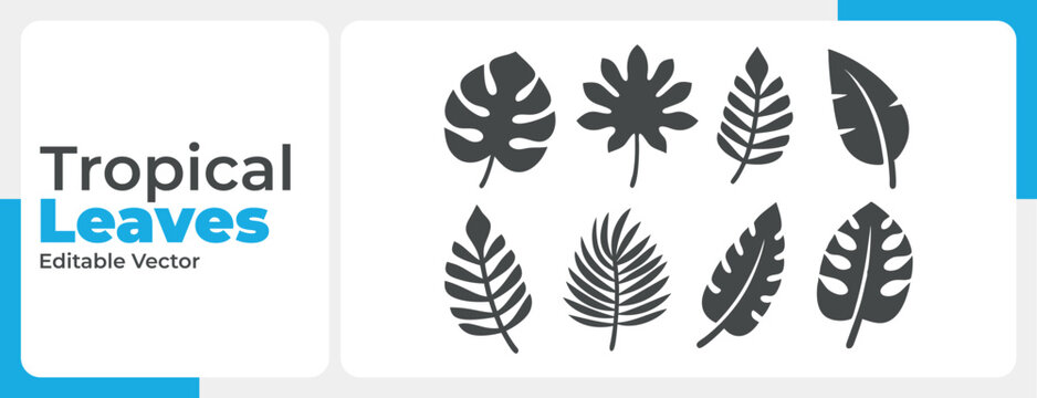 ​Silhouette Vector Icons of Tropical Leaves​
