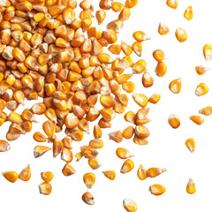 dry corn kernels on a white background, png
