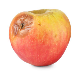 One whole rotten apple isolated on white
