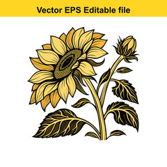 Hand drawing sunflower vector