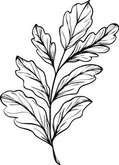 vector illustration of a tree silhouette