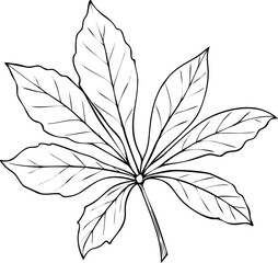 black and white flower