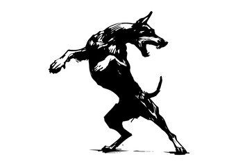 Doberman Dog Hand Drawn Illustration Sketch Vector Isolated by AZ for Books, Arts, Design and Decoration Graphic Asset