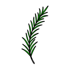 Fresh Sprig of Rosemary Icon Design