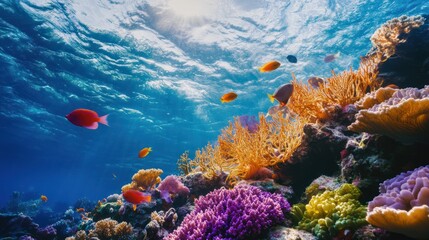 Underwater paradise: Exploring vibrant coral reefs and marine life spectacle