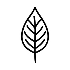 Leaf with Central Vein Icon Design