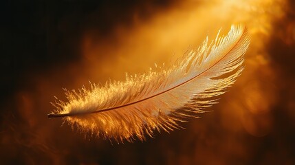 A single feather floating gently downwards in a beam of sunlight