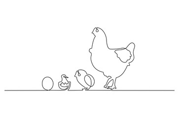 Continuous one line drawing of Chicken life cycle. Single line drawing illustration of Chicken Growth from egg. Chicken concept vector art. Doodle line illustration.