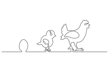 Continuous one line drawing of Chicken life cycle. Single line drawing illustration of Chicken Growth from egg. Chicken concept vector art. Doodle line illustration.
