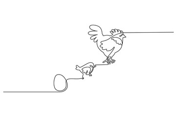 Fototapeta premium Continuous one line drawing of Chicken life cycle. Single line drawing illustration of Chicken Growth from egg. Chicken concept vector art. Doodle line illustration.