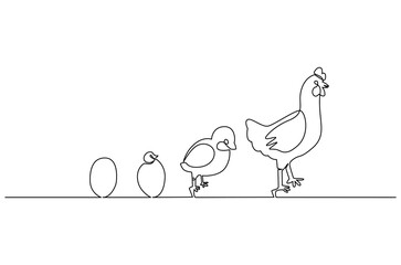 Continuous one line drawing of Chicken life cycle. Single line drawing illustration of Chicken Growth from egg. Chicken concept vector art. Doodle line illustration.