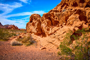 Fototapeta premium Red Rock Formations and Desert Vegetation Under Blue Sky Eye Level View