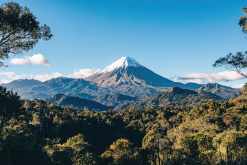 Fototapeta premium Snow-capped volcano view through trees