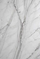 Clean white marble, delicate grey streaks  Abstract, elegant backdrop , decor, backdrop