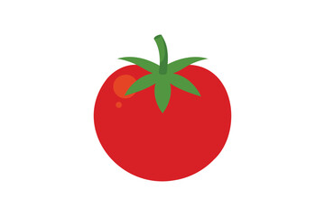 Fresh Tomato Vegetable vector