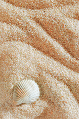 Close-up of white seashell on textured light beige pink sand, summer and seaside atmosphere, minimal style aesthetic nature vertical photography, relaxation, wellness concept, coral colored gradient