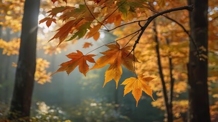 A serene autumn scene featuring vibrant orange and yellow maple leaves gently swaying in the breeze.