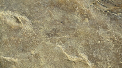 Close-up of textured, light brownish-gray stone surface