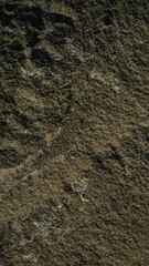 Close-up texture of rough, dark brown stone
