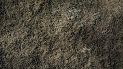Close-up view of textured brown earth