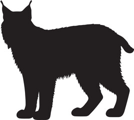 Eurasian Lynx Silhouette on White Background
