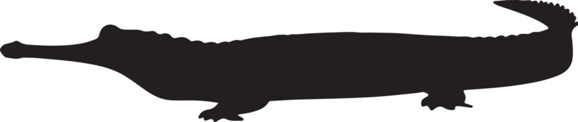 False Gharial Silhouette on White Background